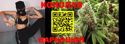гашик Кунгур