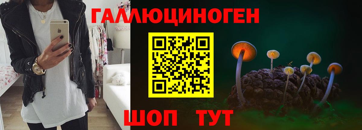 Галлюциногенные грибы ЛСД  Галлюциногенные грибы Cubensis  Вход с VPN  Елабуга 